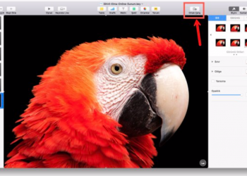 Mac’te Keynote Sunumunu Web Sitesine Ekleme