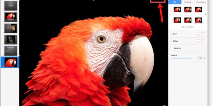 Mac’te Keynote Sunumunu Web Sitesine Ekleme