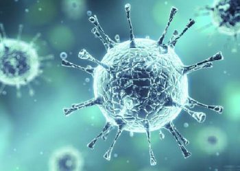 Dünya Sağlık Örgütü Coronavirüs Kararını Verdi