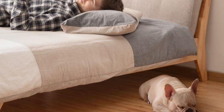 Anker Robot Süpürge Modellerine 2 Model Daha Katıldı