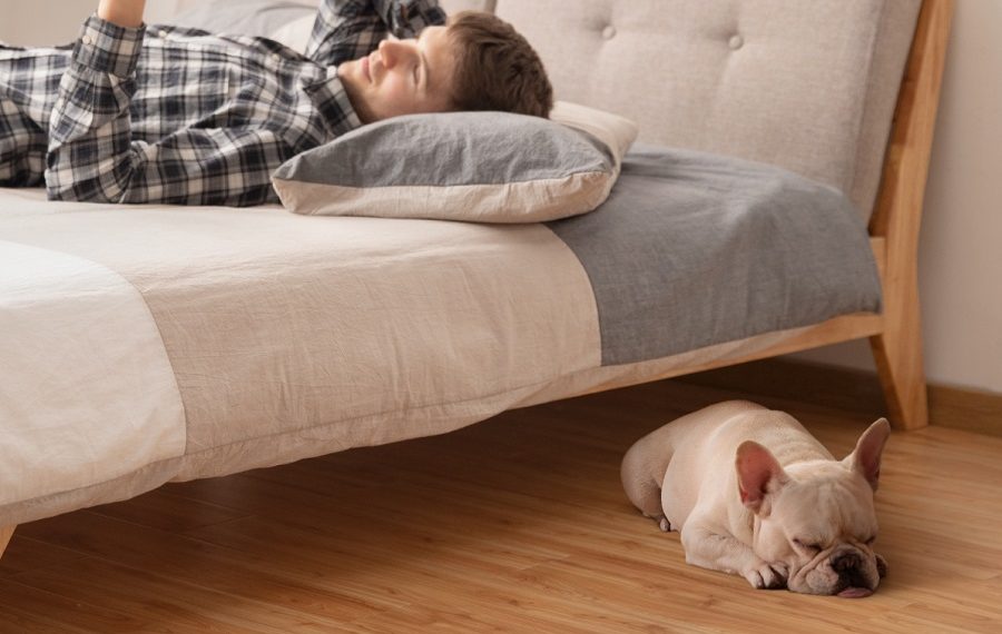 Anker Robot Süpürge Modellerine 2 Model Daha Katıldı