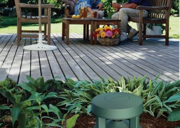 Bahçeyi Sinema Salonuna Dönüştürün