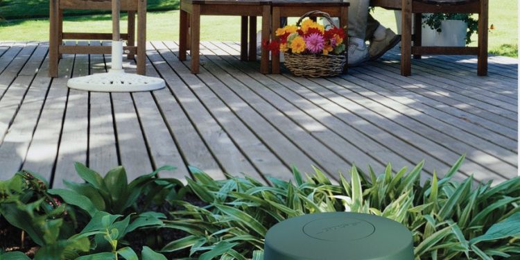 Bahçeyi Sinema Salonuna Dönüştürün