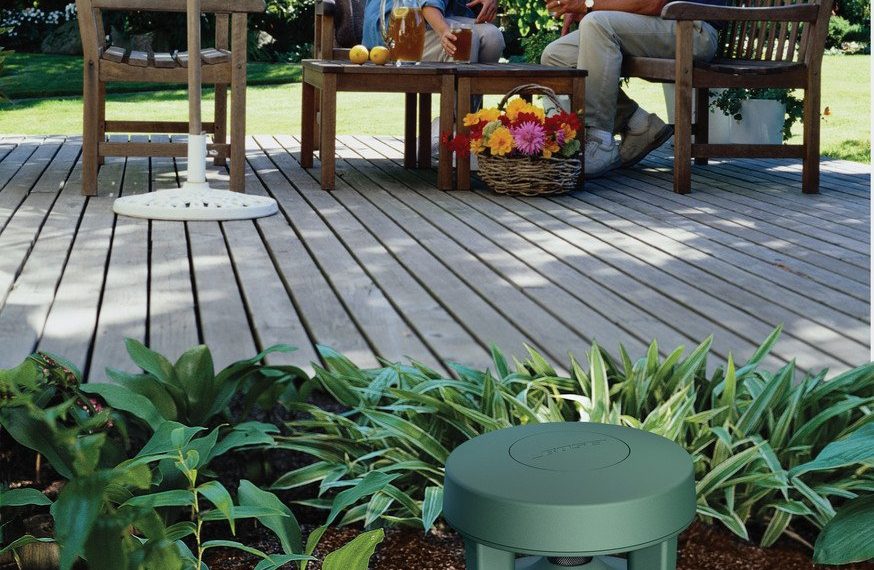 Bahçeyi Sinema Salonuna Dönüştürün