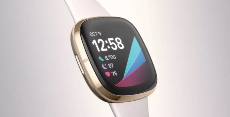 Fitbit, Google Asistan desteği ekliyor