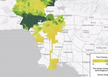 Google ağaçlandırmaya önem veren bir araç başlattı