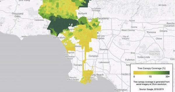 Google ağaçlandırmaya önem veren bir araç başlattı