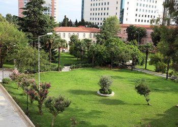 Fransız Lape Hastanesi Ağ Projesi TP-Link’ten