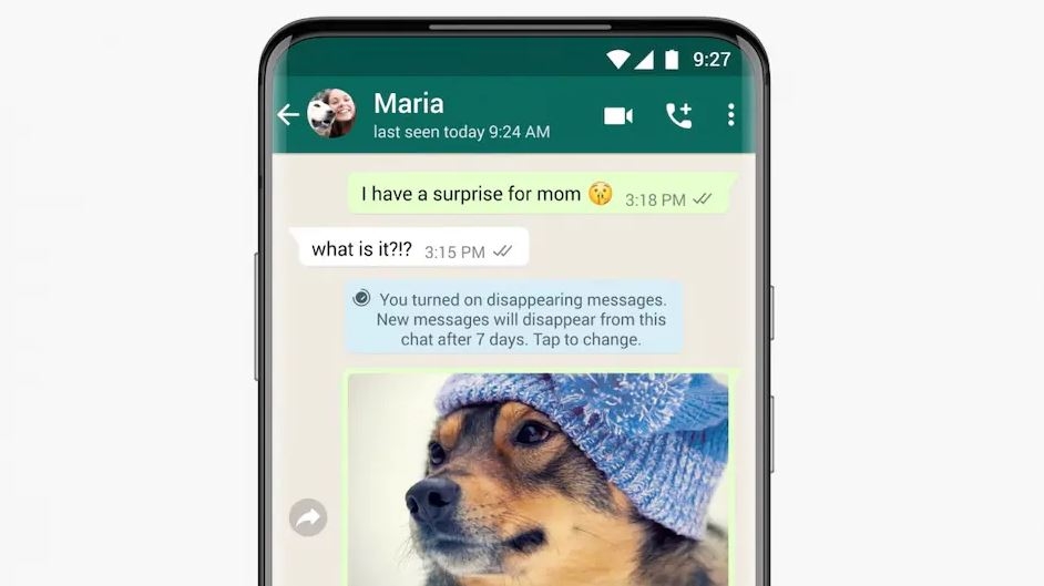 Whatsapp Kaybolan Mesajlar özelliği nasıl kullanır? İşte detaylar