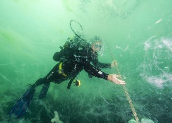 Müsilaj ve Yuttuğu Işık 