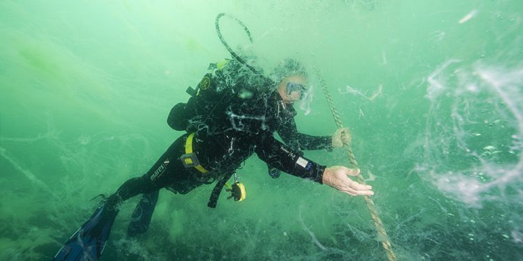 Müsilaj ve Yuttuğu Işık 