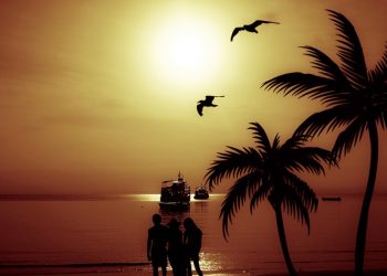 Tropikal İklim Nedir