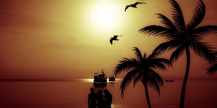 Tropikal İklim Nedir