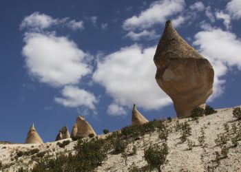 Doğa ve Doğa Fotoğrafı Tanımı