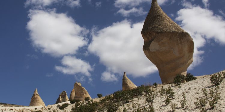Doğa ve Doğa Fotoğrafı Tanımı