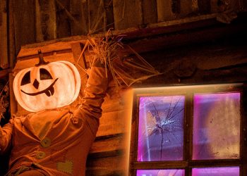 Tapo’nun Çok Renkli  Akıllı Işık Şeridi Satışa Sunuldu