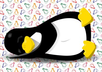 Açık Kaynaklı İşletim Sistemleri Neler?