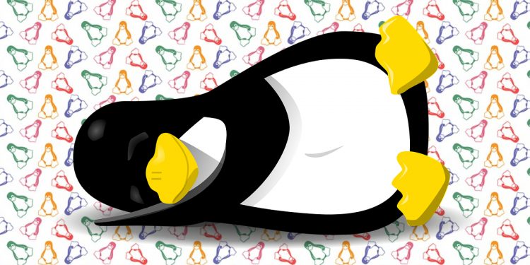 Açık Kaynaklı İşletim Sistemleri Neler?