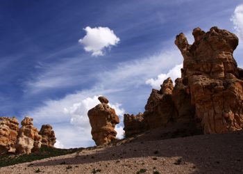 Doğa Fotoğrafçılığı için Gerekli Ekipmanlar