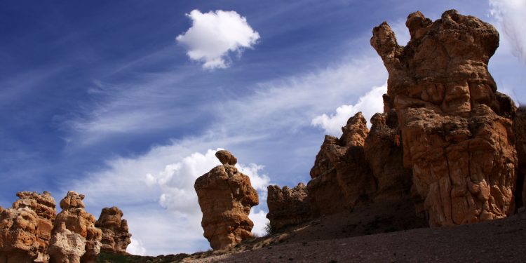 Doğa Fotoğrafçılığı için Gerekli Ekipmanlar