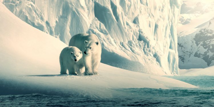 Mutlaka İzlenmesi Gereken Belgeseller