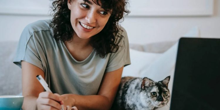 Twitch Reklam Engelleme Yöntemleri