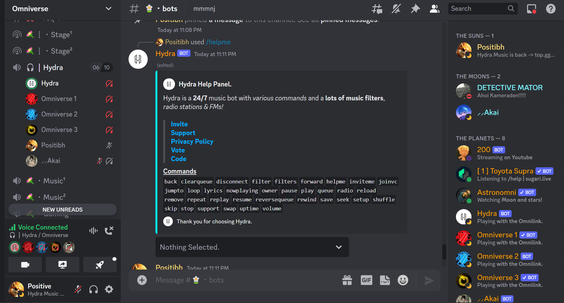 Discord Hydra Bot Nasıl Kullanılır, Komutları Neler?