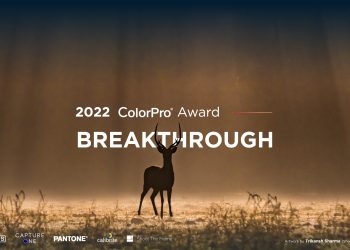 ViewSonic Global Fotoğraf Yarışması ColorPro Award 2022 Başladı