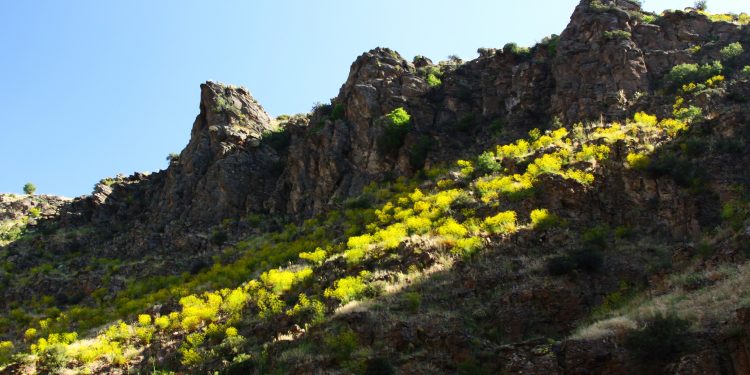 Doğa Fotoğrafçılığı için Gerekli Temel Bilgiler