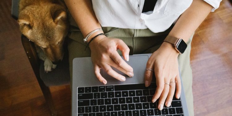 Reklamsız Dizi İzleme Sitesi Önerileri