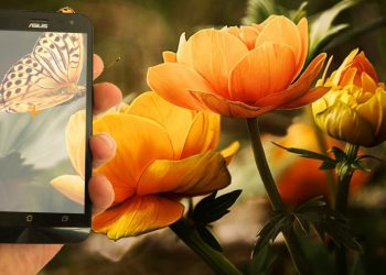 Google Lens Nedir? İndirmeden Nasıl Kullanılır?