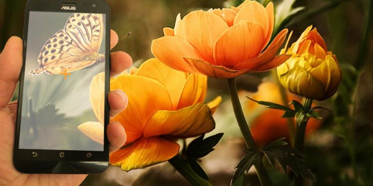 Google Lens Nedir? İndirmeden Nasıl Kullanılır?