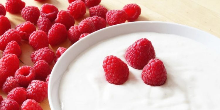 İlk Yoğurt Nasıl Yapıldı?