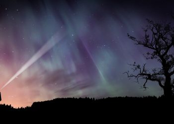 Kutup Yıldızı Hangi Yönü Gösterir?