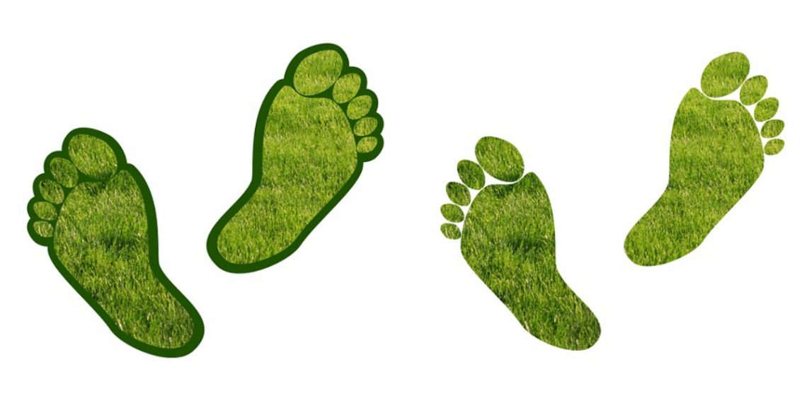 Karbon Ayak İzi Nedir?