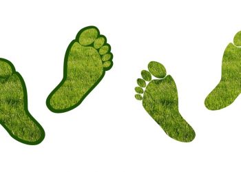 Karbon Ayak İzi Nedir?