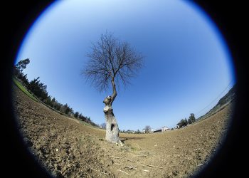 Geniş Açılı Objektifler Neler Sunuyor?