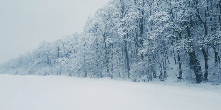 iPhone 14 Hayat Kurtardı