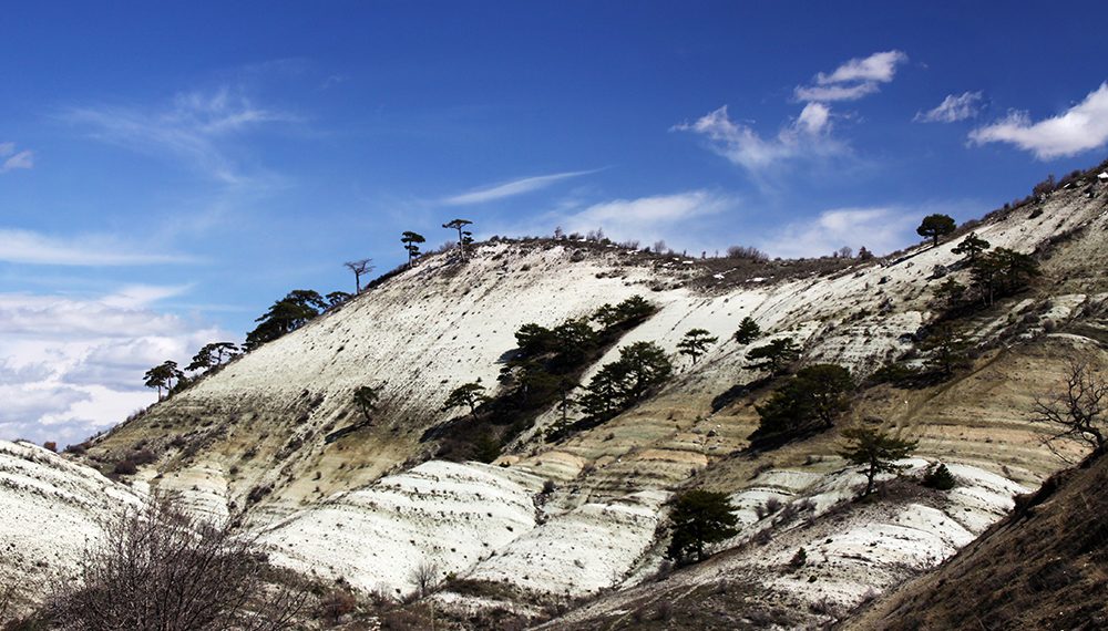 Doğa Fotoğrafçılığında Işık ve Pozlama Nasıl Ayarlanır?