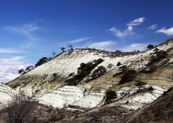 Doğa Fotoğrafçılığında Işık ve Pozlama Nasıl Ayarlanır?