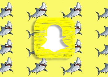 Snapchat Cameo Silme