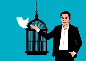 Elon Musk, Twitter Başkanı Görevinden İstifa edebilir