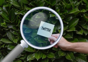 Twitter Gizli Hesap Görme Yöntemleri