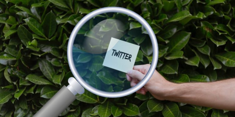 Twitter Gizli Hesap Görme Yöntemleri