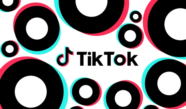 TikTok Hangi Videonun Viral Olacağına Karar Verecek