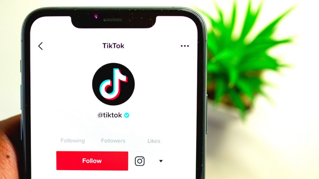 TikTok Hesap Gizleme