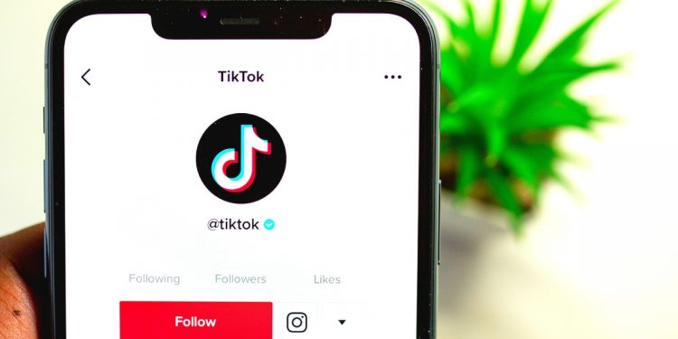 TikTok Hesap Gizleme