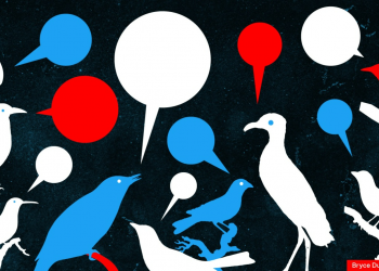 Üçüncü Taraf Uygulamaları Twitter Gelişimine Nasıl Katkı Sağladı?