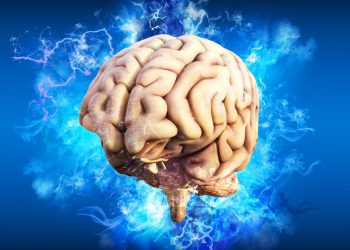 Neuralink İnsan Deneyleri İçin İzin Alamadı