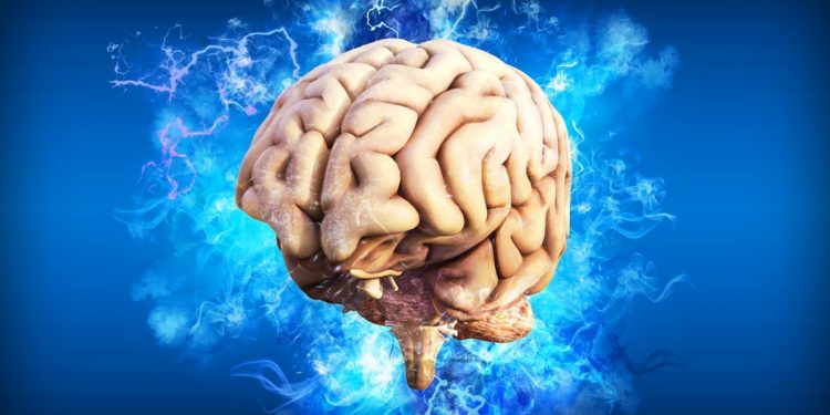 Neuralink İnsan Deneyleri İçin İzin Alamadı